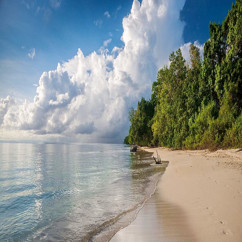 Fascinating Andaman